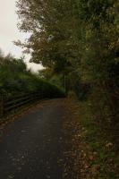 DSC00229.jpg
