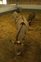 DSC00085.jpg