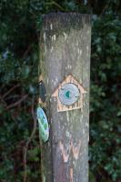 DSC05056.jpg