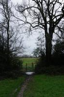 DSC05057.jpg