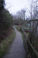 DSC05642.jpg
